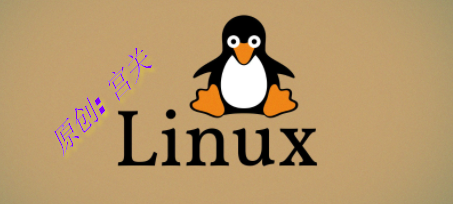 Linux启动后网卡不在