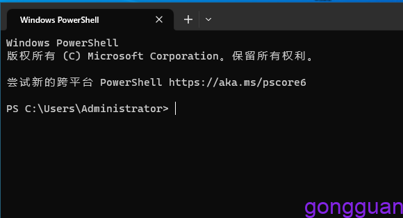 WindowTerminal安装与配置