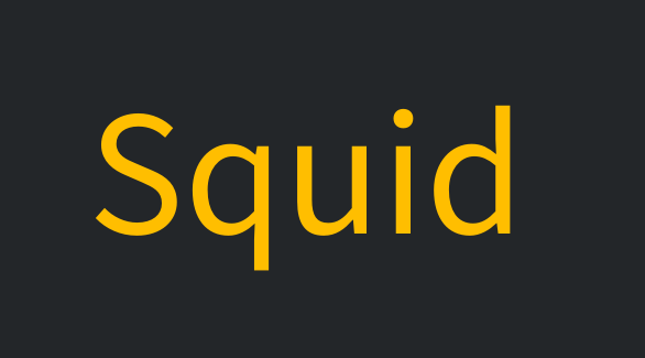 squid代理负载与缓存服务